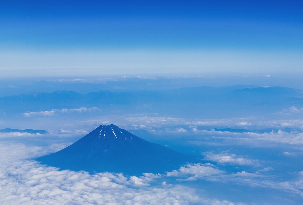 くにたち朝顔　富士山と集合的無意識